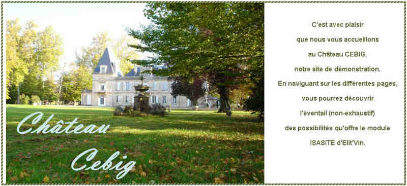 CHATEAU CEBIG ACCUEIL.JPG